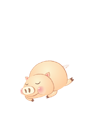 �캰 �����ǿ